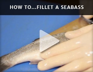 How To Fillet A Seabass