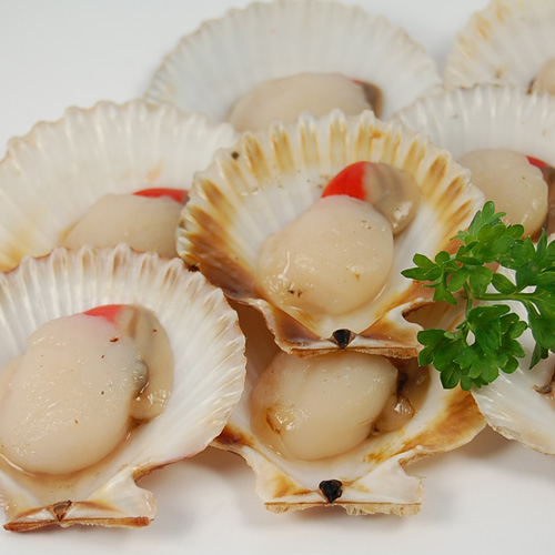 Manx Half Shell Queenies