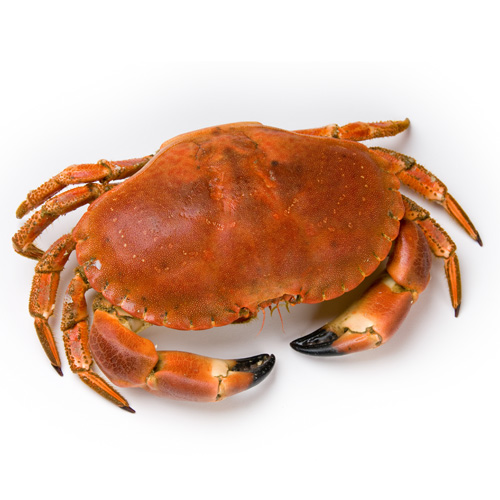 Whole Cooked Crab